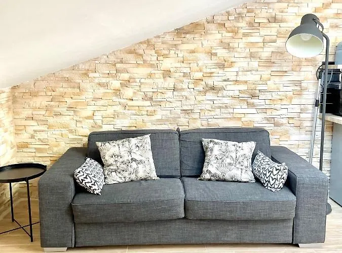 Safari Apartment In Heart Of Cannes And Beaches