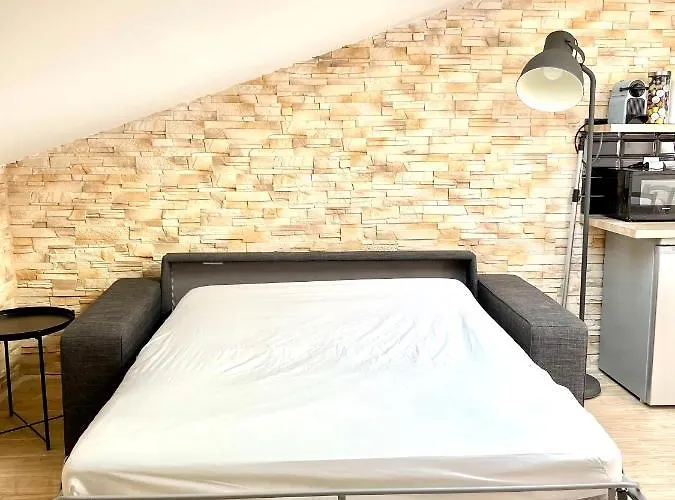 Safari Apartment In Heart Of Cannes And Beaches